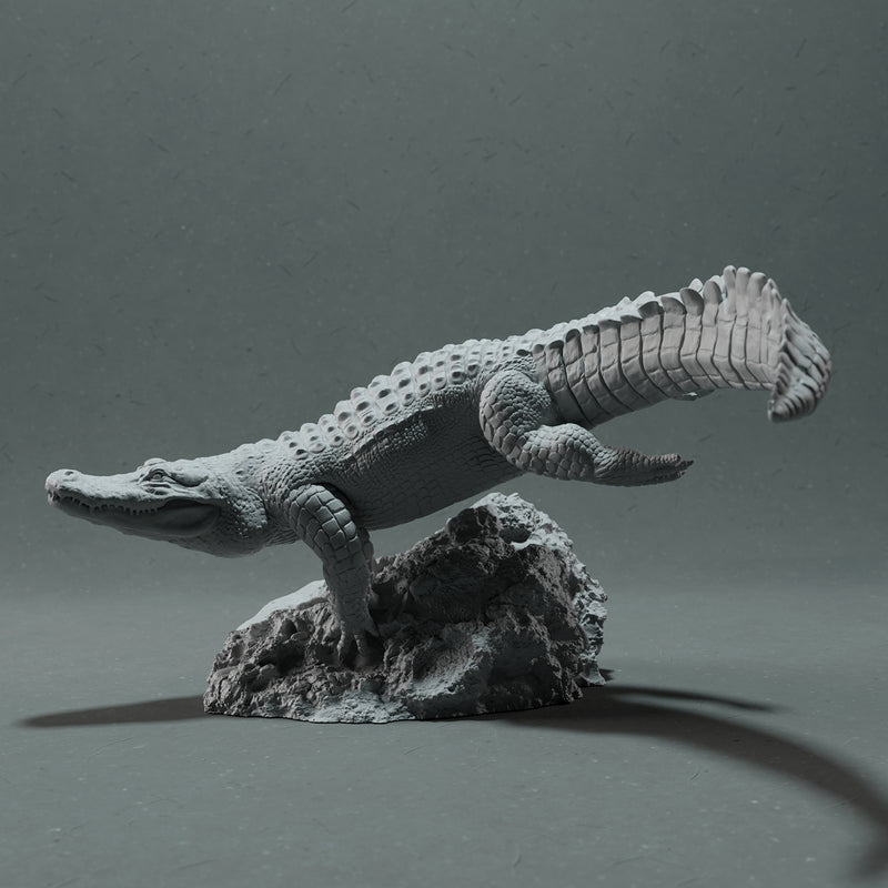 American Alligator - Swim - Only-Games