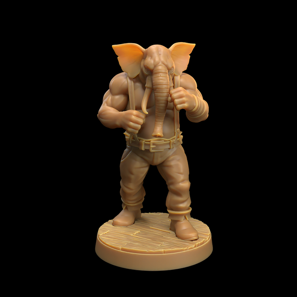Male Elephant Pirate Boxer - Only-Games