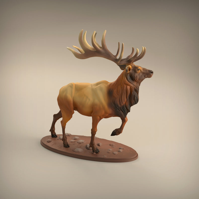 Elk - Only-Games