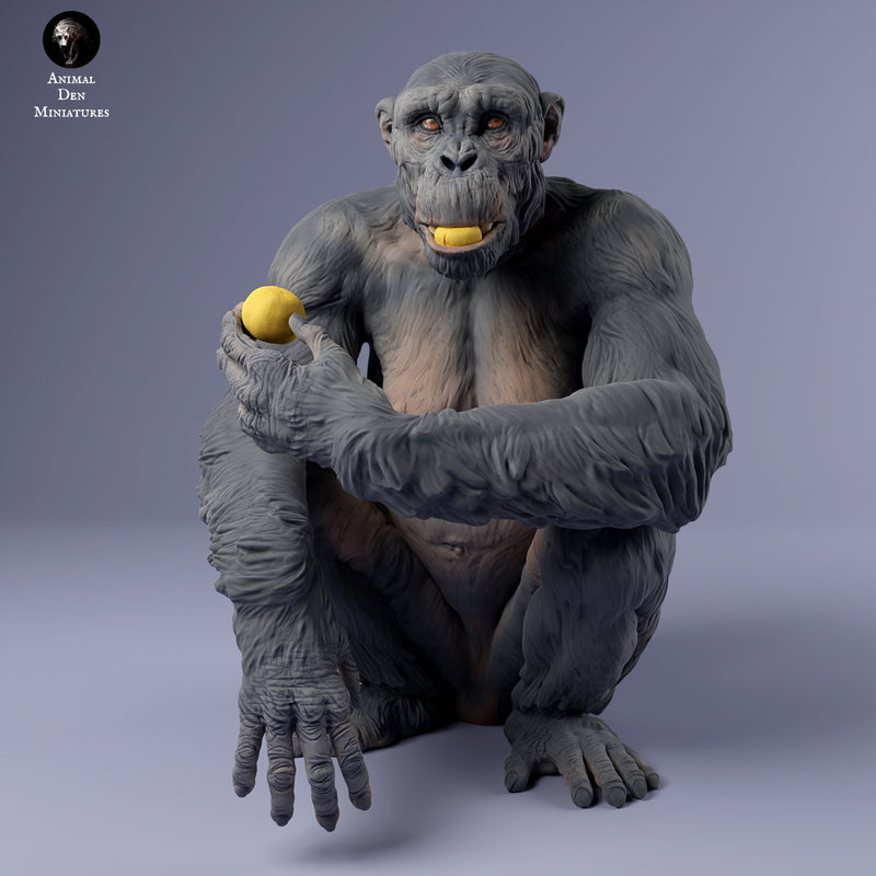 Chimpanzee Female Eating 1/43 - Only-Games