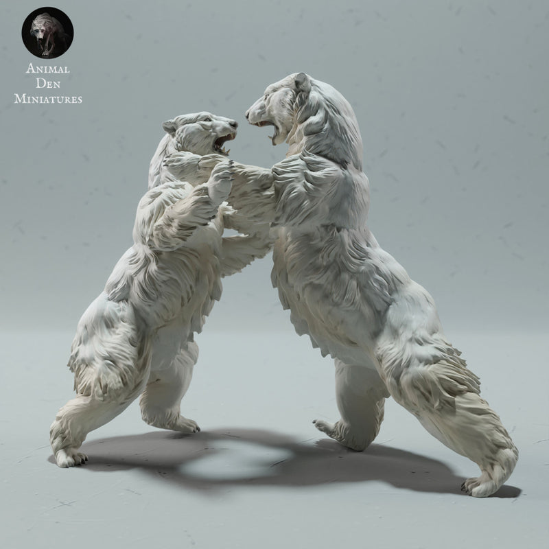 Polar Bears Fighting - Only-Games