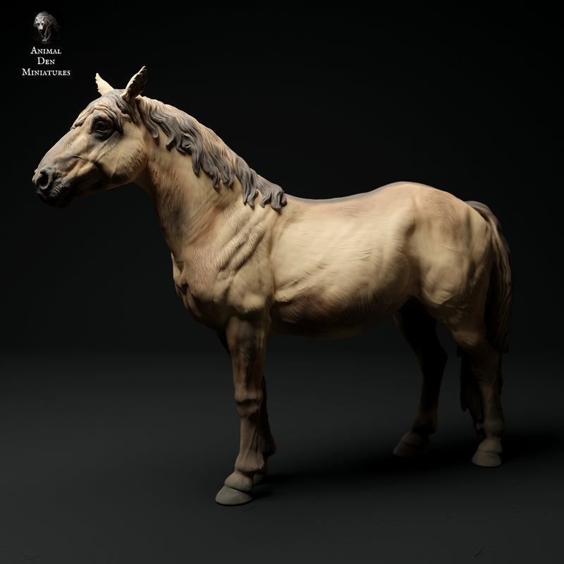 Konik Horse 1/43 - Only-Games