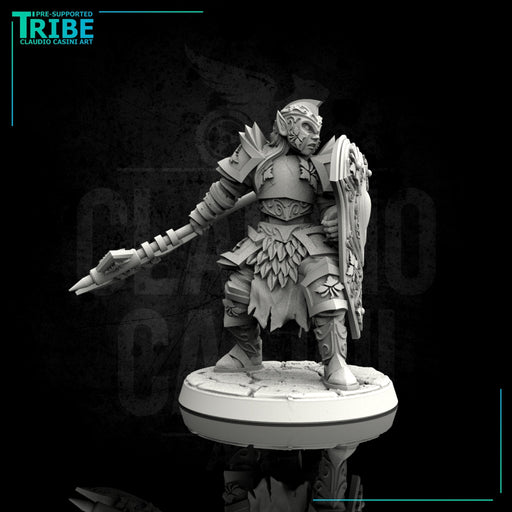 (0070) Male elf human tiefling paladin with big axe / halberd - Only-Games