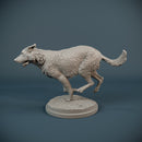 German Shepherd dog running - Only-Games