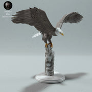 Bald Eagle - Only-Games