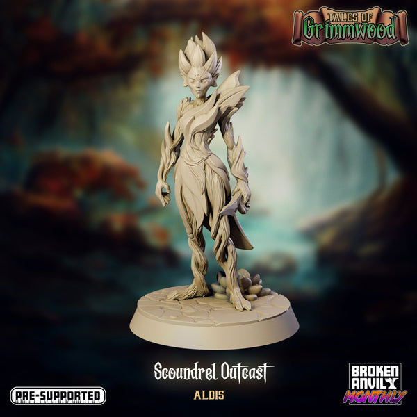 Tales of Grimmwood- Dryad Scoundrel - Only-Games