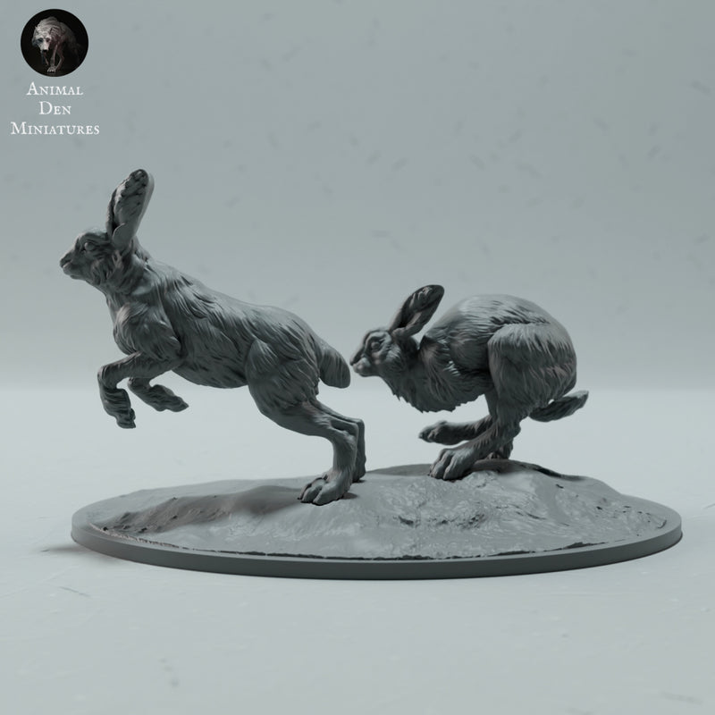 Arctic Hares Run 1/45 - Only-Games