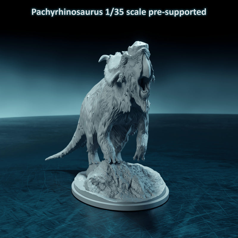 Pachyrhinosaurus roaring  1-35 scale dinosaur - Only-Games