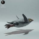 Rockhopper Penguin Swimming - Only-Games