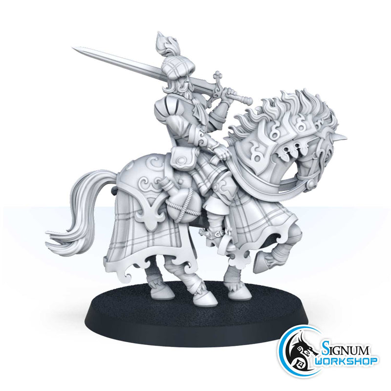 Gawain mac Morn, Clan Rider - Only-Games