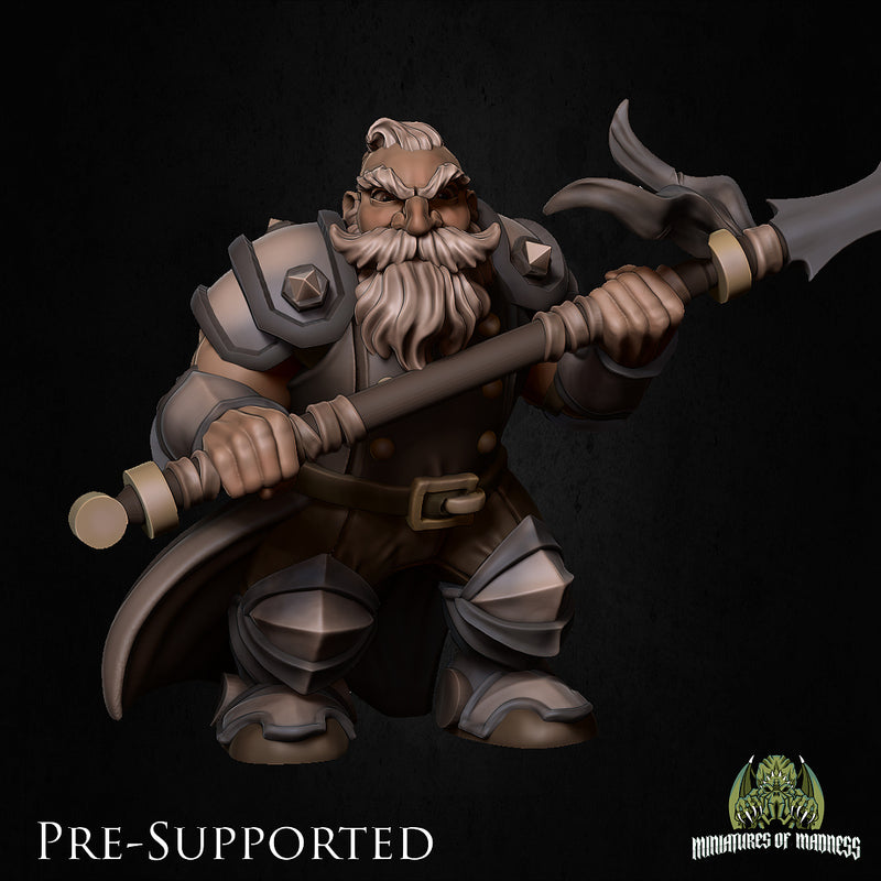 Robur Bonebreaker [32mm Scale] Dwarf Fighter - Only-Games