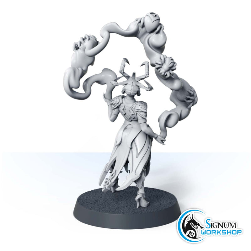 Cray-Ar-Din, Witch of the Cursed Forest - Only-Games