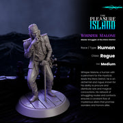 Human Pirate Smuggler Whisper Malone - Only-Games