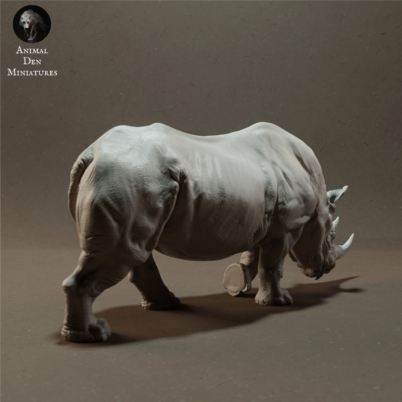 Black Rhino 1/43 - Only-Games