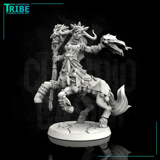 (0113) Female centaur wizard sorceror druid with spell - Only-Games