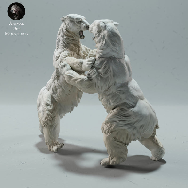 Polar Bears Fighting - Only-Games