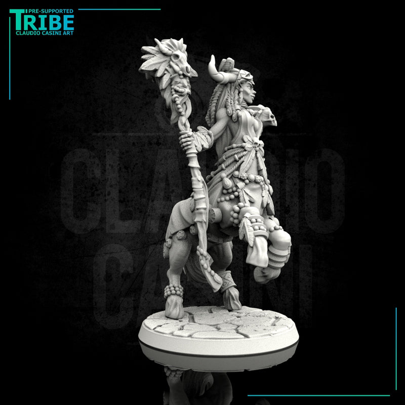 (0113) Female centaur wizard sorceror druid with spell - Only-Games