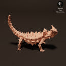 Thorny Devil - Only-Games