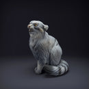 Pallas Cat - Only-Games