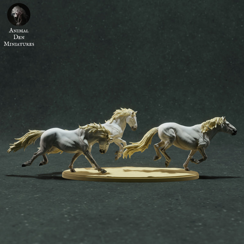 Camargue Horses Run 1/43 - Only-Games