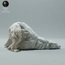 Polar Bear Scratching - Only-Games