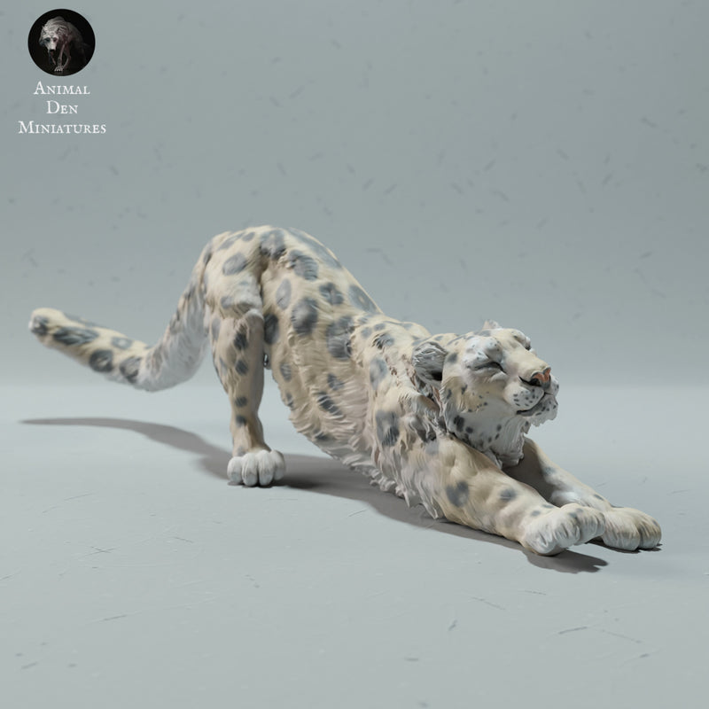 Snow Leopard Stretching 1/43 - Only-Games