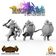Kingsguard Shield Guard (12 x 32mm scale minis) - Only-Games