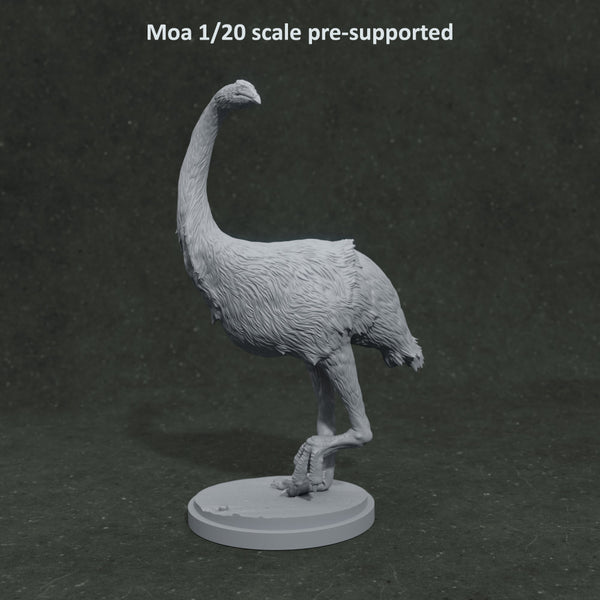 Moa turning 1-20 scale prehistoric bird - Only-Games