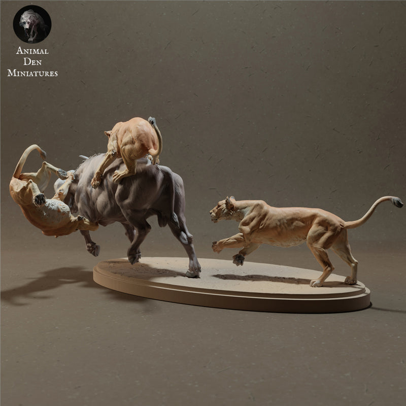 Lioness pack hunting a Buffalo 1/43 - Only-Games