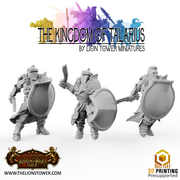 Kingsguard Shield Guard (12 x 32mm scale minis) - Only-Games