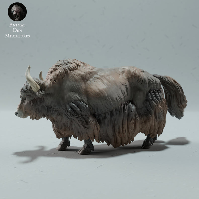 Himalayan Wild Yak - Only-Games