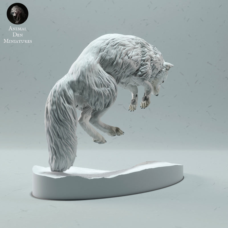 Arctic Fox Jumping - Only-Games