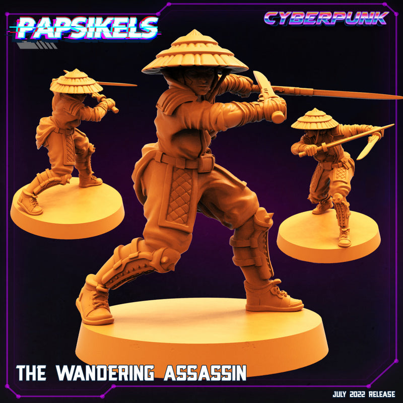 THE WANDERING ASSASSIN - Only-Games