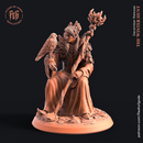 Jonik, The Elf Druid - Only-Games