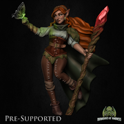 Elf Druid Loreil Softvale - Only-Games