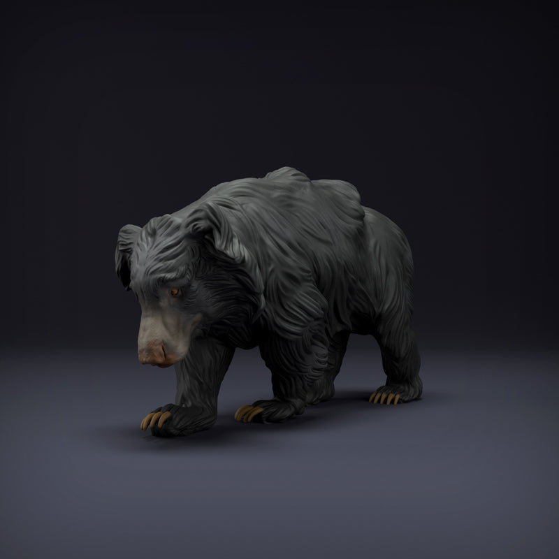 Sloth Bear - Only-Games