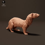 European Polecat 1/32 - Only-Games