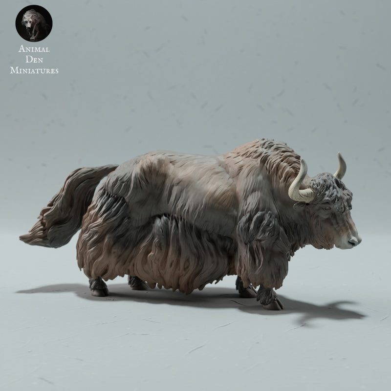 Himalayan Wild Yak - Only-Games