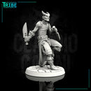 (0020) Male human tiefling elf hobgoblin thief rogue with knives - Only-Games