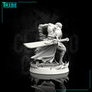 Male human monk with sword and hadoken - Only-Games