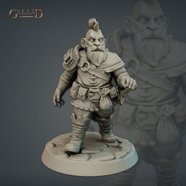Male Dwarf warrior - Only-Games