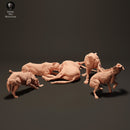 Lionesses vs Spotted Hyenas 1/43 - Only-Games