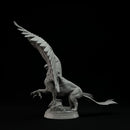 Griffin 32mm - Only-Games