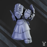 Sir Laurence The Protector - Only-Games
