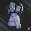 Sir Laurence The Protector - Only-Games