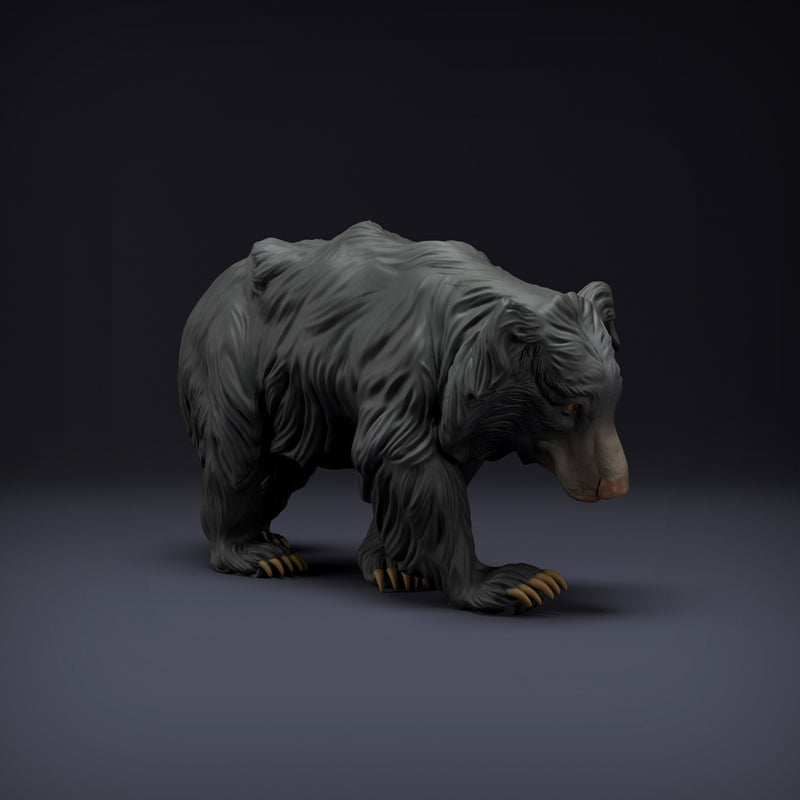 Sloth Bear - Only-Games