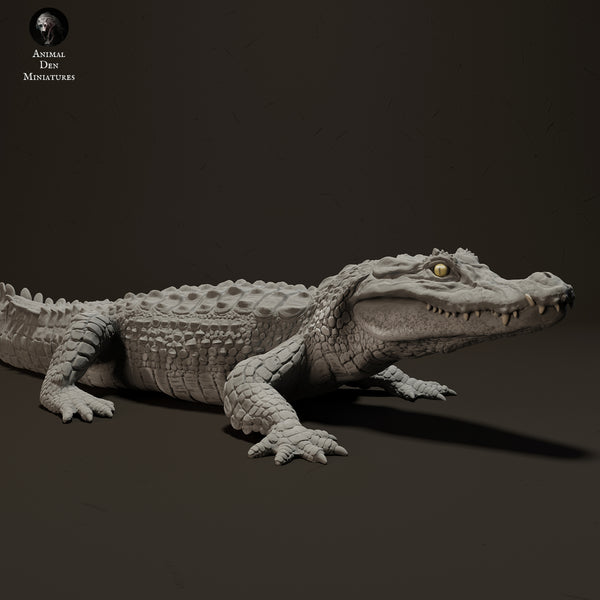 Black Caiman Sunbathing 1/18 - Only-Games