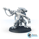 Dewell, the Iron Hook - Only-Games