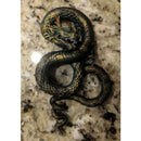 Dragon (Chinese inspired) - Only-Games