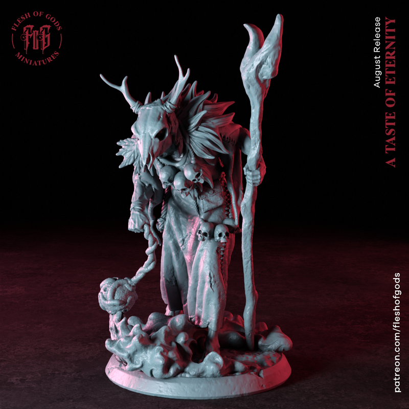 The Dark Druid - Only-Games